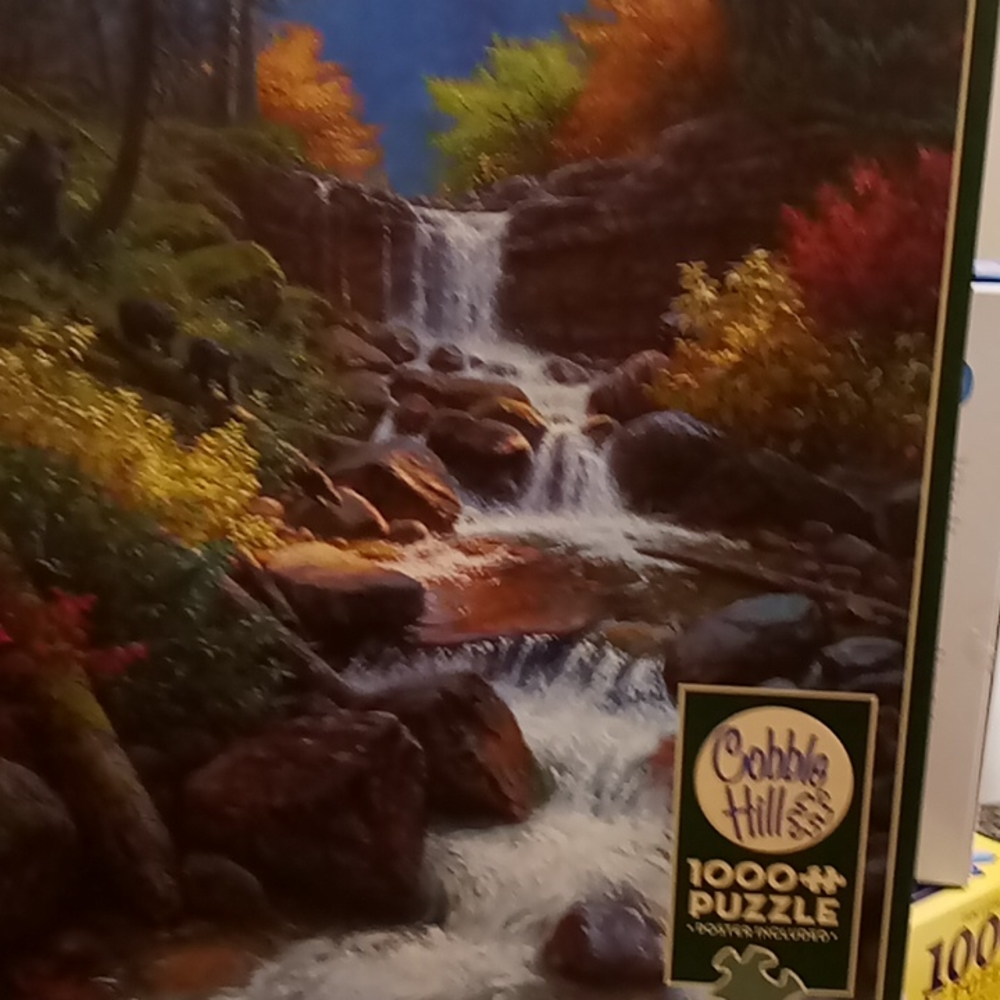 Cobble hill puzzle